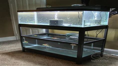 How To Build A Double 40 Gallon Aquarium Stand A Step By Step Guide