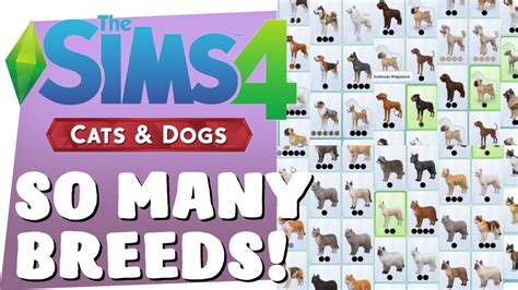 Sims 4 Cats And Dogs So Many Breeds Youtube