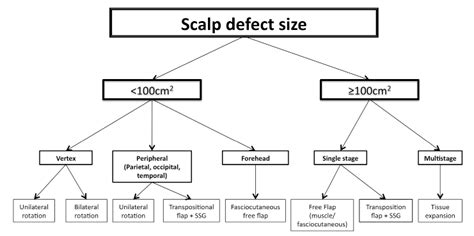 An Algorithm For Reconstruction Of Full Thickness Scalp Soft Tissue