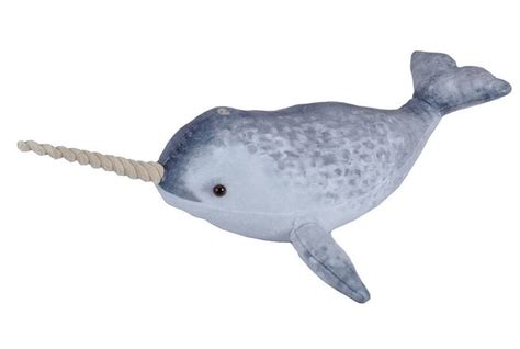 Pin On Narwhals