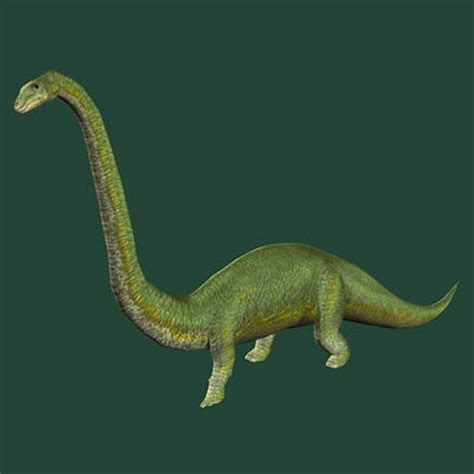 Ultrasaurus Pictures And Facts The Dinosaur Database
