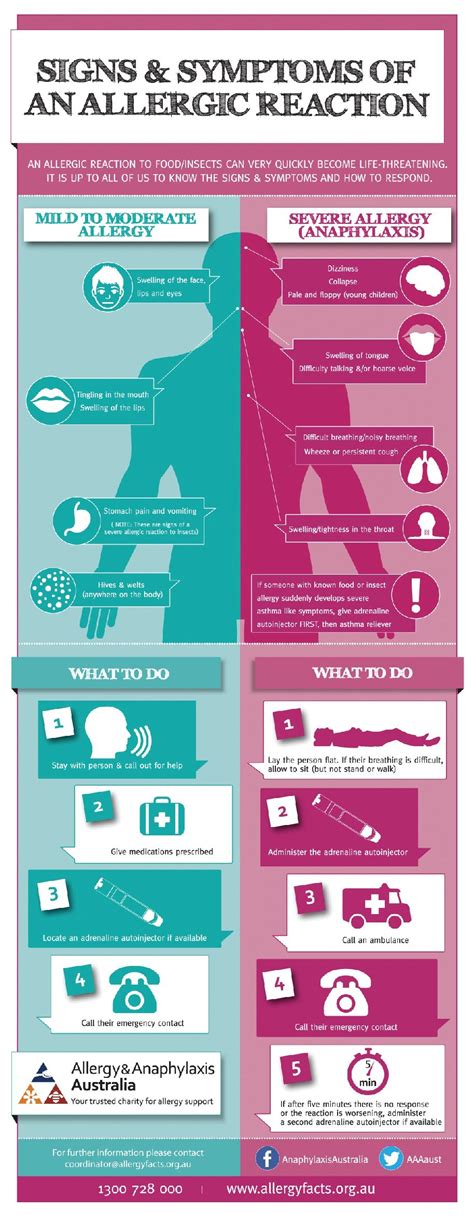 allergy and anaphylaxis australia posters signs and symptoms of an allergic reaction infographic