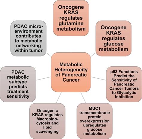 Fig 1 Overview Of Pancreatic Cancer Metabolic The