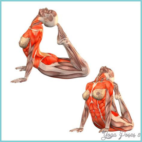 Supported headstand pose (salamba sirsasana). Snake Pose Yoga - YogaPoses8.com