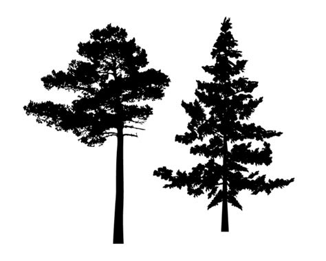 Pine Tree Line Silhouette Svg
