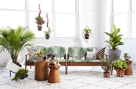 How To Use Plants In The Interior Basics Of Interior