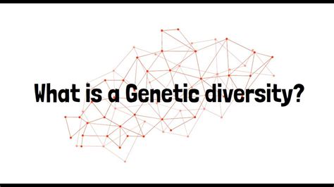 What Is A Genetic Diversity Youtube