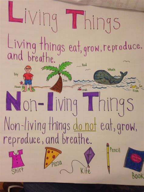 Some of the worksheets displayed are unit living things lesson life processes contains, course science grades 2 grade unit biology, grade 3 standard 2 unit test environment multiple choice d, the basic parts of all living things multiple choice. Living and Non-living anchor chart | Science anchor charts ...