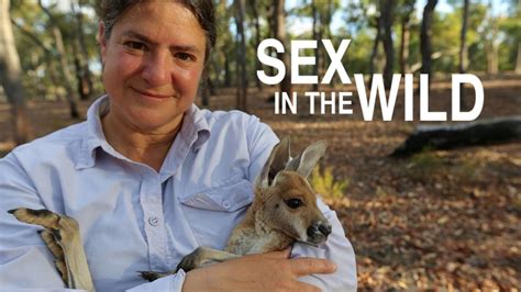 Sex In The Wild Watch On Pbs Wisconsin