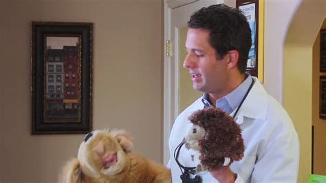 Welcome to all star pediatric dentistry. The Smile Gallery Pediatric Dentist - YouTube