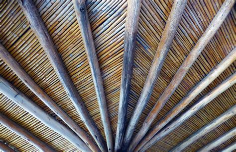 Bamboo Roof Stock Photo Image Of Color Forest Bamboo 13522818