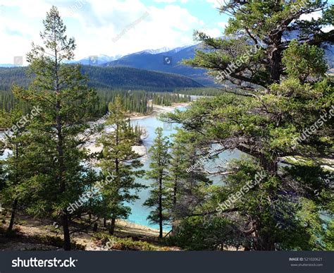 Athabasca River Jasper National Park Stock Photo
