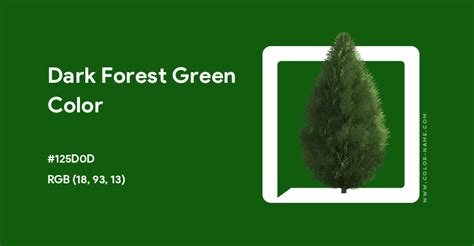 Dark Forest Green Color Hex Code Is 125d0d