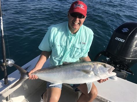 Giant Amberjacks And Mangrove Snapper Off Anna Maria Island With