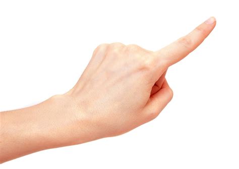 Finger Length A ‘pointer To Osteoarthritis