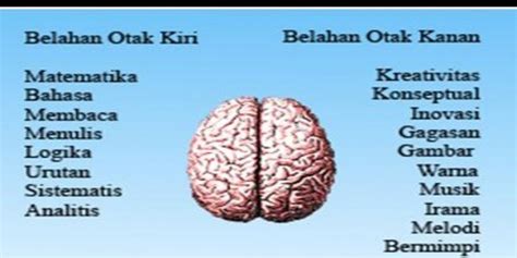 Perbedaan Otak Kanan Dan Kiri