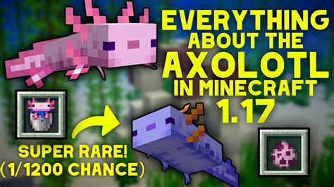 Complete Guide To Axolotls In Minecraft 117 The Caves And Cliffs