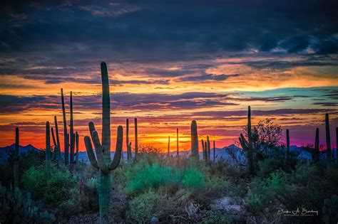 Tucson Sunset Wallpapers Top Free Tucson Sunset Backgrounds