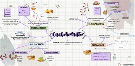 Mapa Mental De Los Carbohidratos Hidratos De Carbono Y Sus