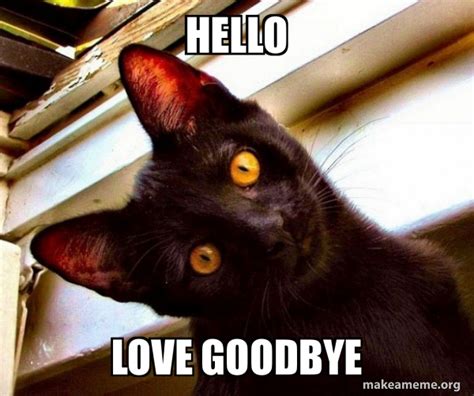 Farewell Cat Meme