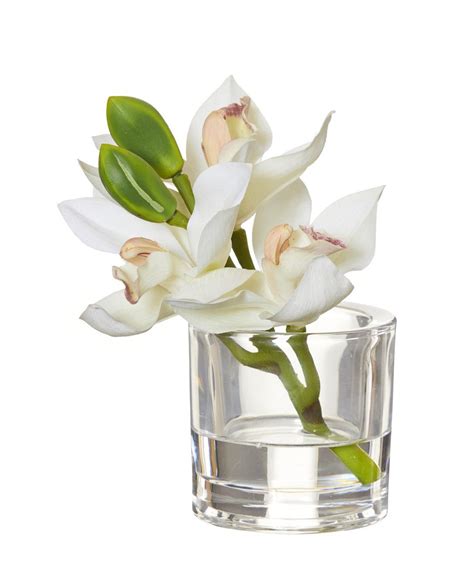White Cymbidium Orchid In Glass Vase 15cm Glass Vase Vase Cymbidium Orchids
