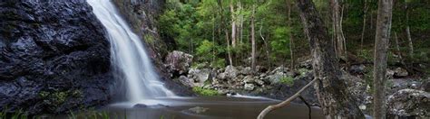 Mapleton Falls National Park Camping And Accommodation