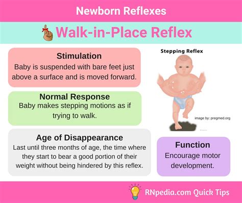 Newborn Reflexes Rnpedia
