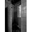 Shower Stall  Photo Of The Abandoned Dixmont State Hospital