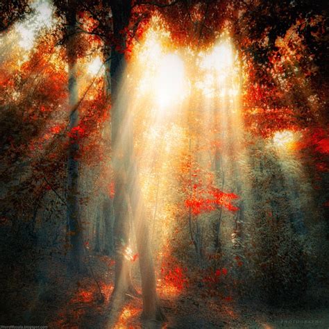 Fabulously Mysterious Photography By Ildiko Neer Weird Things Weird