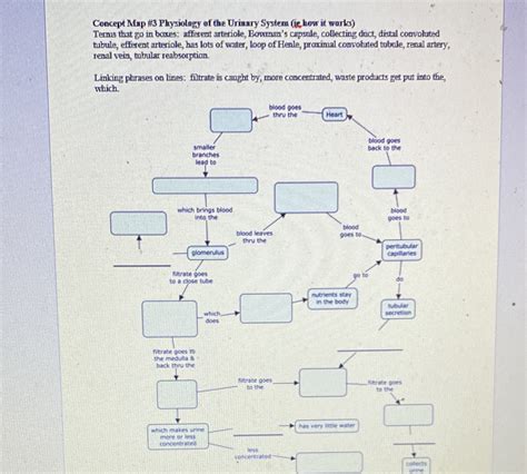 Solved Concept Map 3 Physiology Of The Urinary System Ic How It