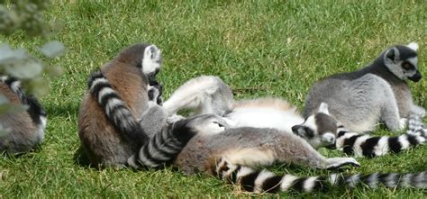 178,263 likes · 1,777 talking about this. Een dagje diertjes kijken in Zoo Planckendael