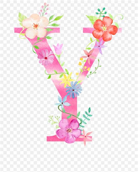 Letter Flower Y Png 2400x3000px Flower Alphabet English Alphabet