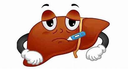 Liver Hepatitis Cancer Disease Clipart Failure Risk