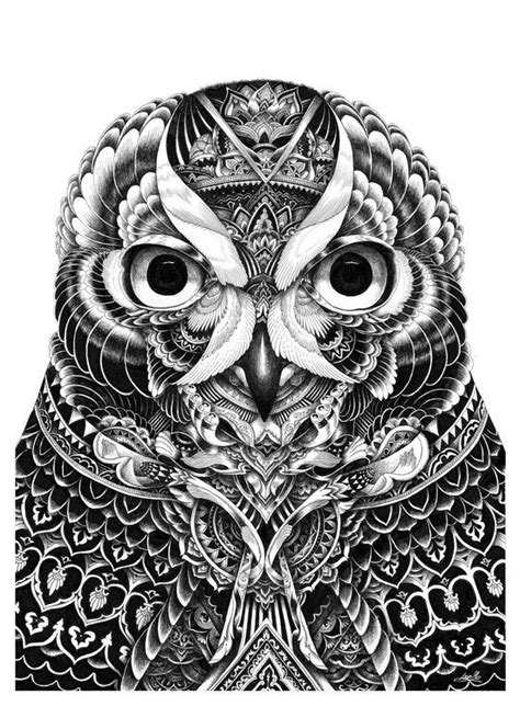 Owl Head Iain Macarthur Ink 2013 Rart