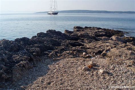 Naturist Beach In Zavala Island Hvar Naturist Beaches