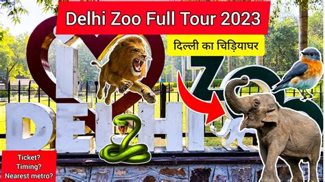 Delhi Zoo Travel Vlog 2022 Delhi Ka Chidiyaghar National