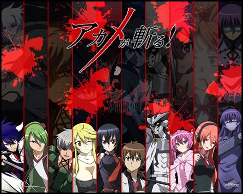 Akame Ga Kill Night Raid Dowload Anime Wallpaper Hd
