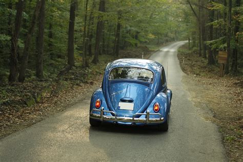 Free Photo Blue Classic Volkswagen Beetle Car Classic Car Drive