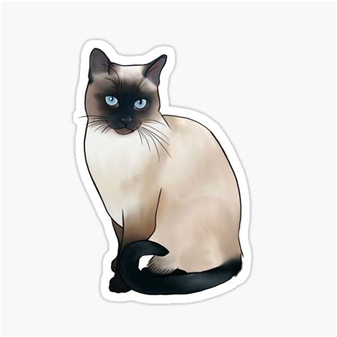 Siamese Cat Sticker For Sale By Lilystreet Redbubble