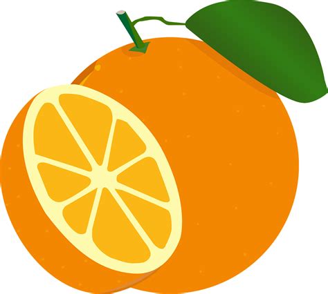 Orange Fruit Vector Png