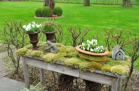 Nach dem umgraben der beete kann die erste aussaat erfolgen. Garten im Frühling erleben - Uedem
