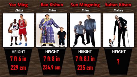 Comparison World S Tallest Men Ever Youtube