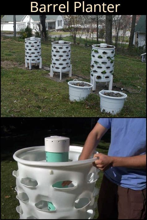 The Ultimate Guide To Plastic Barrel Planters