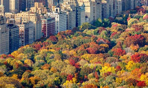 The 22 Best Things To Do In New York In The Fall 2021 Activities