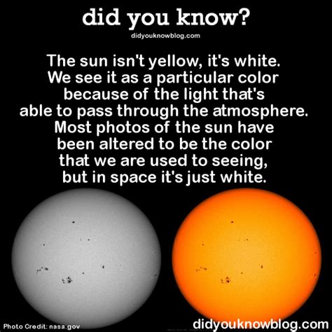 Log In Tumblr Cool Science Facts Astronomy Facts Fun Facts