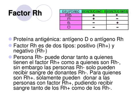 Rh Positivo De Quien Puede Recibir Sangre Actualizado Marzo 2024