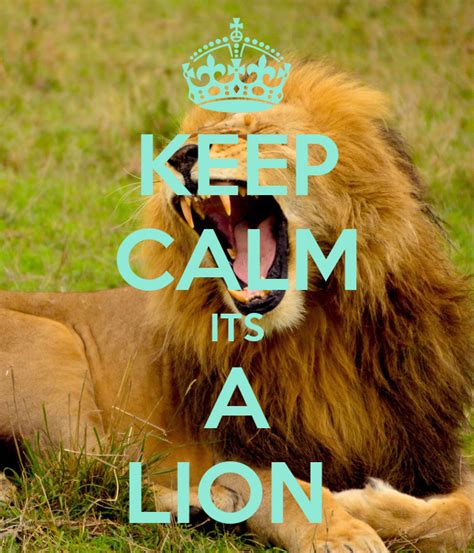 Keep Calm Its A Lion Poster Laura Keep Calm O Matic