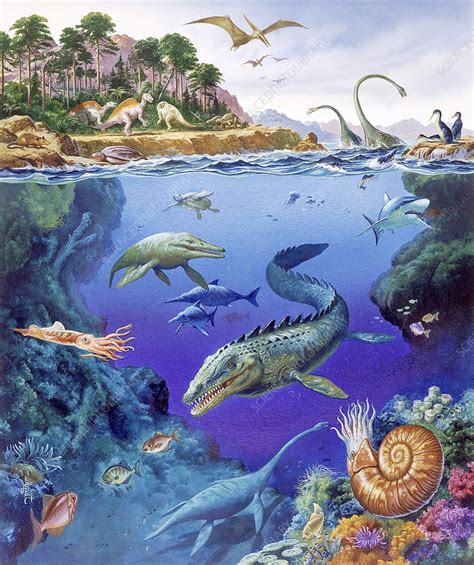 Cretaceous Period Fauna Stock Image E4450285