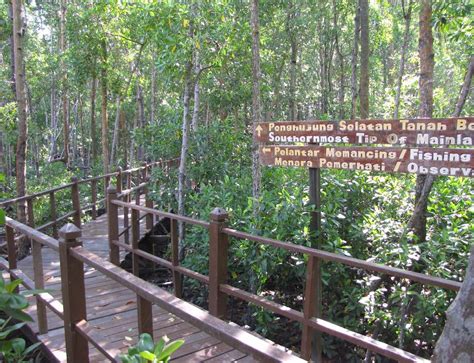 Tanjung Piai National Park The Southernmost Point In Asia Living In