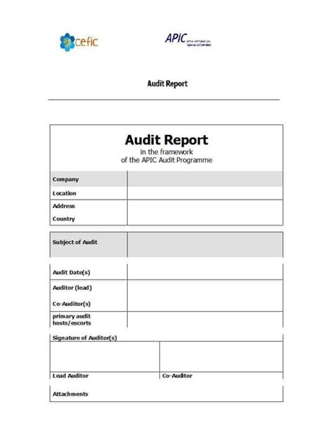 It Audit Report Template Word Professional Format Templates